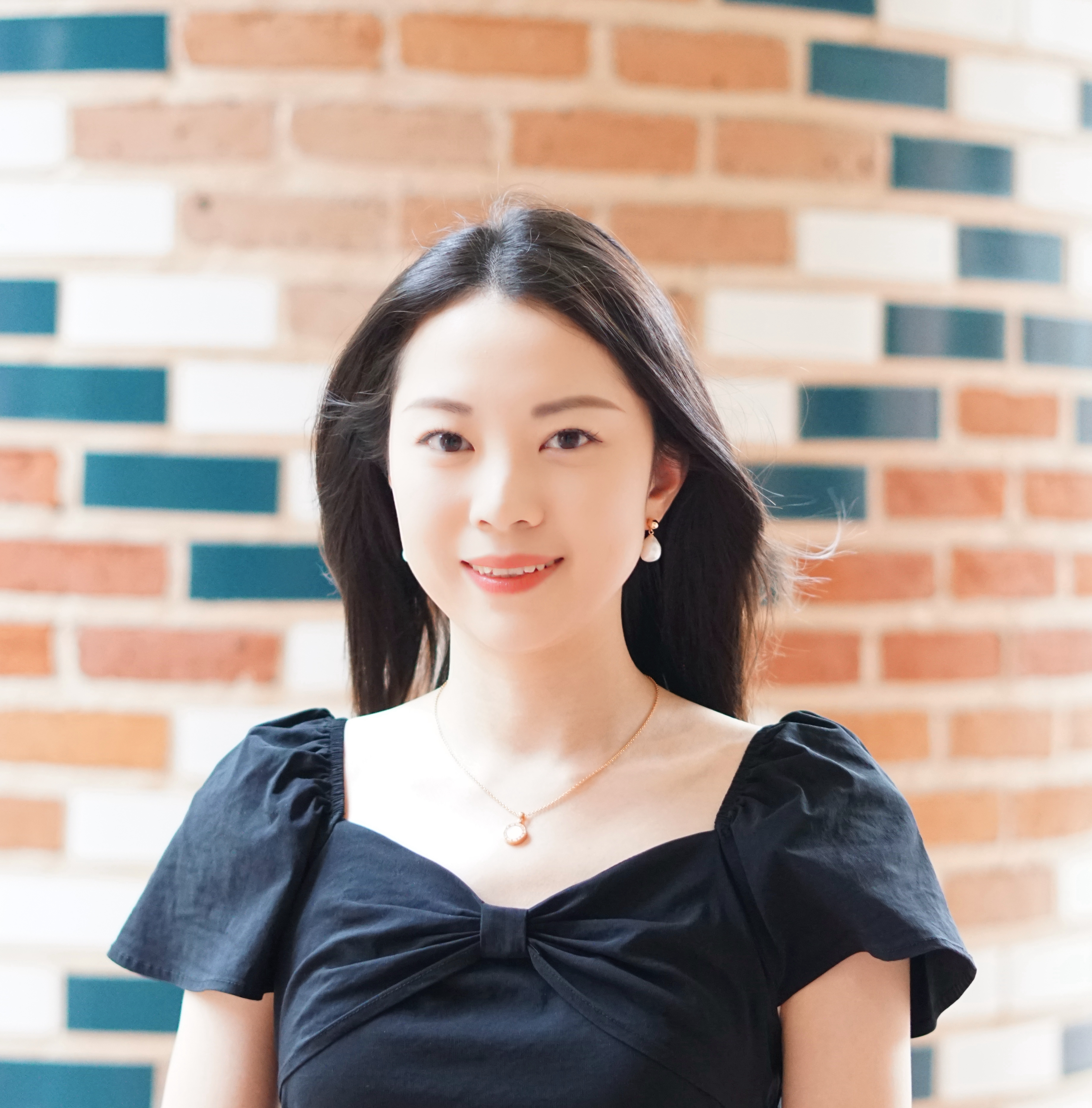 Prof. Hanjie Chen profile photo